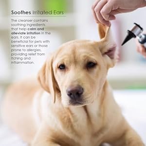 Otiderm Ear Cleansing Solution with Aloe Vera for Dogs  Cats Antiirritant Formula with Neutral Ph and Aloe Vera Deodorize  Gently Clean  8 Fl Oz  Cucciolini Doodles Otiderm ear cleansing solution with aloe vera for dogs  cats anti irritant formula with neutral ph and aloe vera deodorize  gently clean  8 fl oz   cucciolini doodles