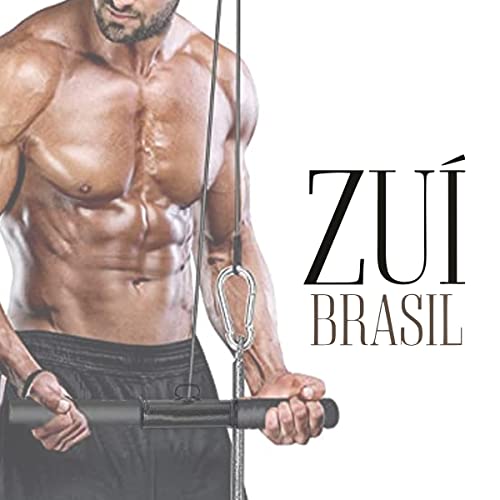 Barra Puxador Reto Triceps Musculação Crossover Pulley Fitness