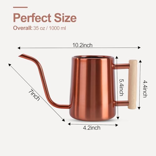 Image of Watering Can Indoor Plants, 35 oz /1000 ml Metal Stainless Steel Watering Can Pot with Long Spout for Indoor House Plants Bonsai Outdoor Garden Flower Decorative (Copper)