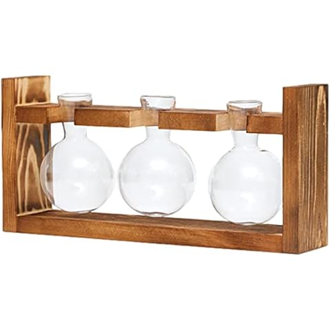 Bulb Vase Hydroponic Vase Desktop Plant Terrarium, Glass Vase Flower Vase with Wooden Stand for Hydroponics Plants, Modern Tabletop Glass Planter Propagation Station for Home Office Decoration Cover