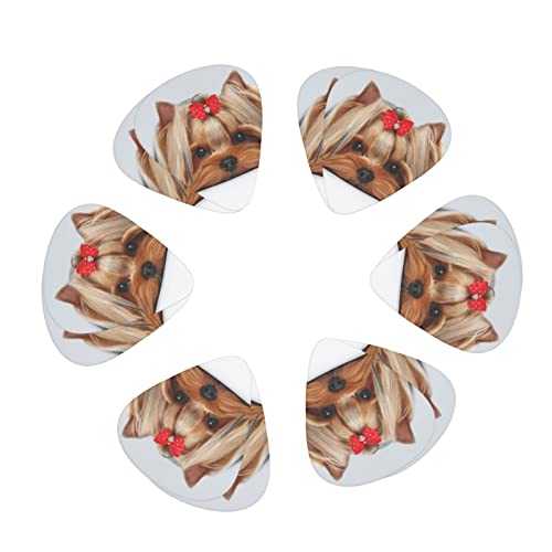 �M�^�[�s�b�N 12�� 3��ނ̌��� �M�^�[�s�b�N�Z�b�g �s�b�N�P�[�X ���[�{�b�N�X�t�� �A�R�[�X�e�C�N�M�^�[ �G���L�M�^�[ �E�N���� �}���h���� �x�[�X �o���W���[�p ���S�җp guitar pick�i0.46mm��0.71mm&0.96mm�j ���ɂȂ���