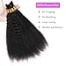 TOPBULK Kinky Straight Human Braiding Hair No Weft 100g (1Pack-4PCS) Wet and Wavy Bulk Human Hair For Boho Braids Yaki Straight For Micro Braiding (Kinky Straight, 18 Inch)