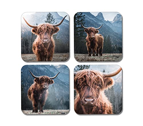 DV DESIGN Lot de 4 sous-verres carrés motif vaches des Highland – Animaux de bétail écossais, cadeau #77889