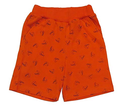 Image of Clothe Funn Boys Regular Shorts