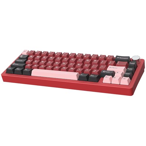 KDSTROE(ȓX) AL65 CXL[{[h JjJL[{[h L[{[h RGB Q[~O L Gasket\ mut Ԏ 66L[ pz hՓ zbgXbvΉ eʃobe[ lԍHw BT/2.4G/USB