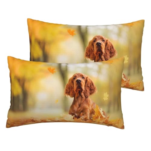 EgoMed Cocker Spaniel Autumn Park Decorative Pillow Case, 30×50 cm