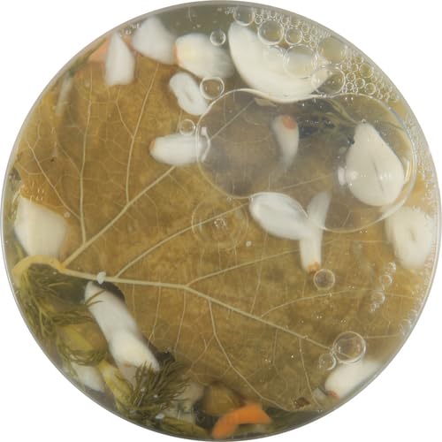 Miniatura 6 de Grillo's Pickles Hot Classic - Lanzas de pepinillo de eneldo, 32 onzas líquidas