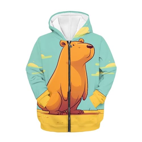 Hoodies Sweatshirts for Kids, Full Zip up Long Sleeve Hooded Pullover Tops with Pocket for 6-16 Years