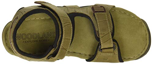 woodland sandals new arrivals 2019