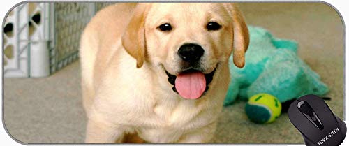 Langes XXL Mousepad, lustiger Dogen Labrador Dog HD Große Gaming-Matte