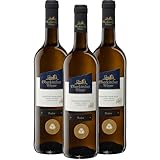 Oberkircher Winzer Gewürztraminer Barrique Spätlese trocken - COLLECTION OBERKIRCH Exklusiv - aromatischer Wein mit ausgeprägten Düften - Badischer Wein, Anbaugebiet Ortenau (3 x 0,75l)