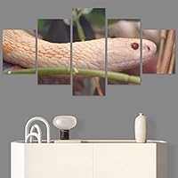 SIGNWIN 5 Panel Canvas Wall Art Modern Art Chic Expressive Frog Multicolor Photography Reptiles Snakes for Home Decorations Ready to Hang - 60
