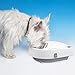Cat Mate Replacement Ice Packs for Automatic Feeders - Compatible with The C300 Pet Feeder (Pack of 1)