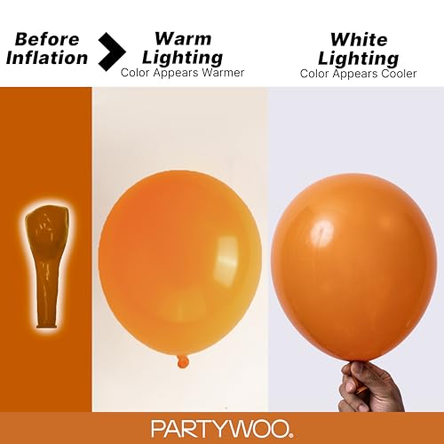 Image of PartyWoo Burnt Orange Balloons 140pcs Different Sizes of 18 12 10 5 Inch Terracotta Rust Fall Color Autumn Boho Balloon Arch Kit Garland for Thanksgiving Halloween Fall Party Decorations Orange-F53
