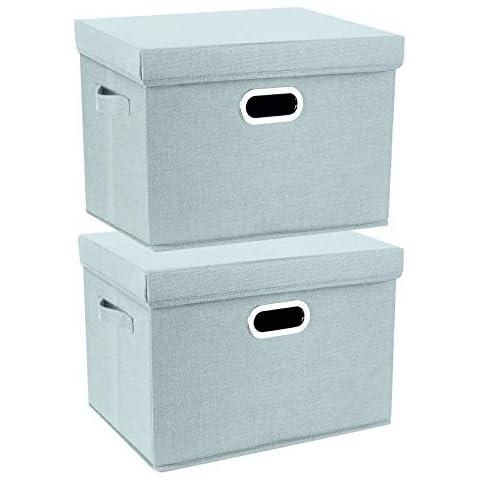 TYEERS Cajas de Almacenaje Grandes Plegables con Tapa Cover