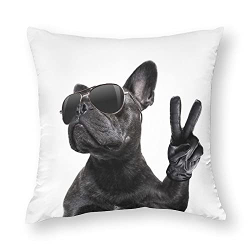 NIBABAEU 1 federa decorativa per cuscino con divertente bulldog francese, in morbido poliestere, per soggiorno, divano, letto, 45 x 45 cm