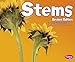 Stems (Plant Parts)