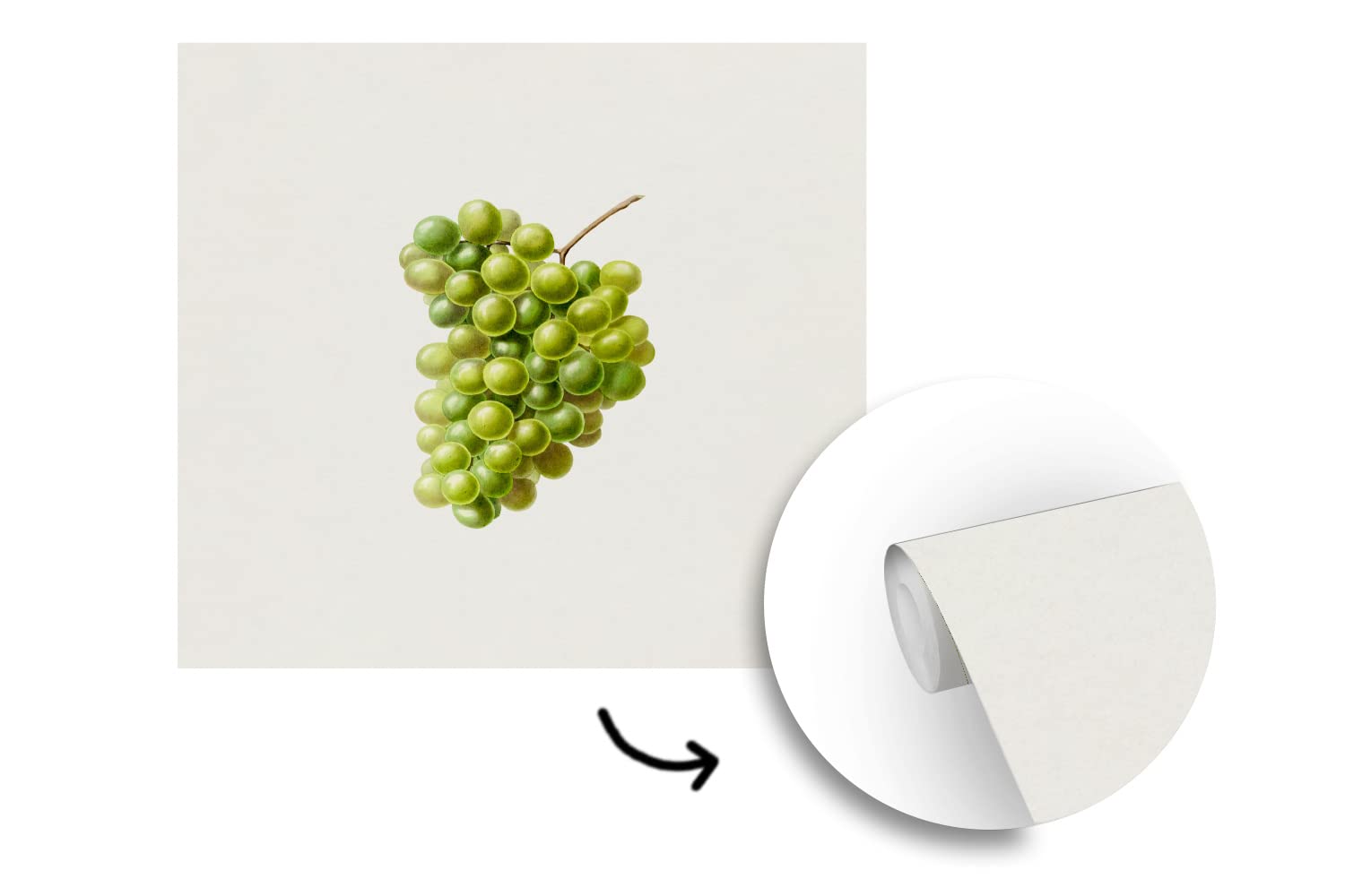 Selbstklebend Tapete Wandpapier Wandaufkleber Fototapete Tapeten Wanddeko 350x350 cm Weintrauben - Obst - Grün