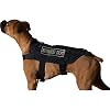 DDT SGT Stubby Vest Medium - Black
