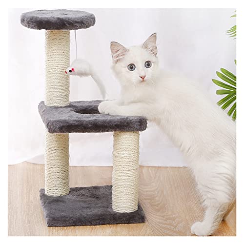 Griffoir escalade pour chat : la solution anti-griffures sur les meubles