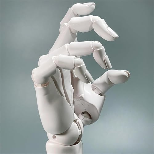 Main articulée main droite flexible 1:1 pour anatomie et robotique