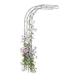 Relaxdays – Demi Arceau pour rosiers, métal, H x l x P : 240 x 125 x 39 cm, Treillis pour Plantes grimpantes, Mural Noir