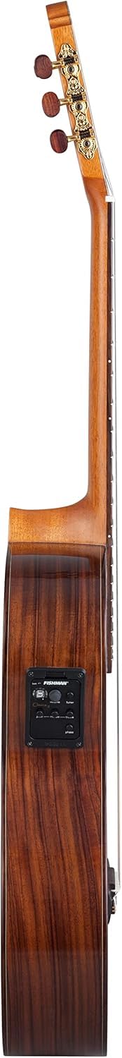 Kremona Performer Series F65CW Guitare électrique à pan coupé en nylon