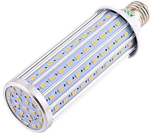 Ampoule maïs 60W lumière douce 5500K pour un éclairage studio sans ombre