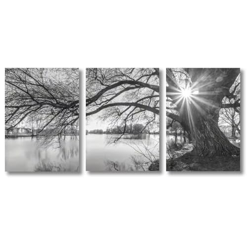Peinture sur toile paysage de lac lot de 3 tableaux décoratifs avec cadre 8x12