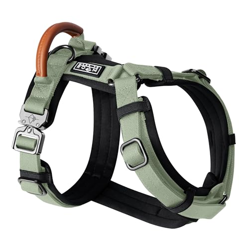 MADE TO ROAM Premium Explorer Harness - Y-Shaped Dog Harness with Adjustable Durable Nylon, Soft Padding, Metal Buckles and Leather Handle for Small, Medium, Large Dogs (Washington Rain, Size 3)