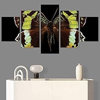 SIGNWIN 5 Panel Canvas Wall Art Open Wings for Home Decorations Ready to Hang - 60