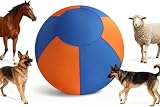 border collie prezzo cucciolo Costruzione robusta e antistrappo: realizzata in PVC resistente e poliestere, questa palla resiste anche a sessioni di cappelli intense. Nessun leggero danno o deformazione, ideale per cani attivi.