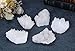 Top Plaza Healing Rock Crystal Clear Quartz Cluster Mineral Geode Druzy Specimen 1.85-3.5''(White Crystal Quartz Cluster)