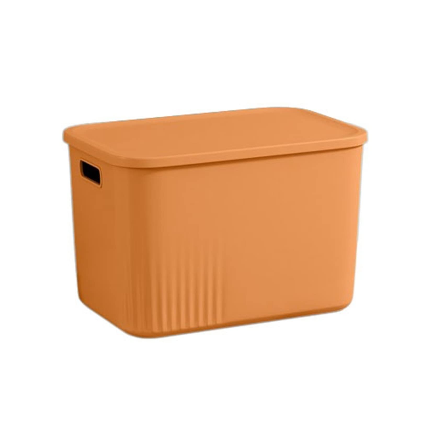 Amazon｜収納ボックス プラスチック オレンジ 25.5×15.3×18.1cm ふた