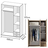 Zoom IMG-2 stella trading base armadio classico Zoom IMG-2 stella trading base armadio classico