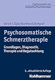 Psychosomatische Schmerztherapie: Grundlagen, Diagnostik, Therapie und Begutachtung (Psychosomatik und integrative Psychotherapie / Schulenübergreifend - evidenzbasiert - anwendungsorientiert)