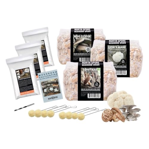 North Spore Log Inoculation Bundle | 500 ct Shiitake, Lions Mane, and Blue Oyster | Wax, Daubers, and Drill Bit | Grow Mushrooms on Outdoor Logs | Premium Quality Mushroom Plug Spawn | Handmade in USA