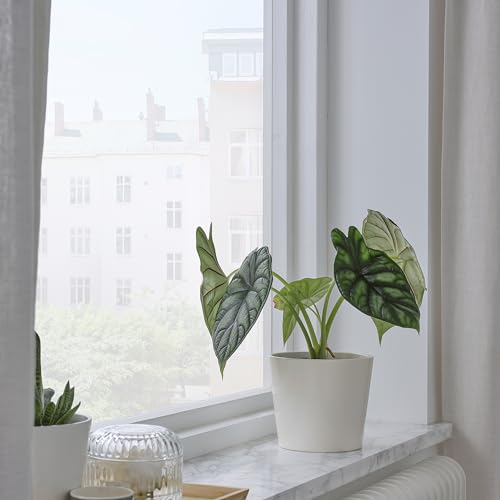 Pot de fleurs céramique SOJABÖNA blanc 12 cm ProTuning - 5