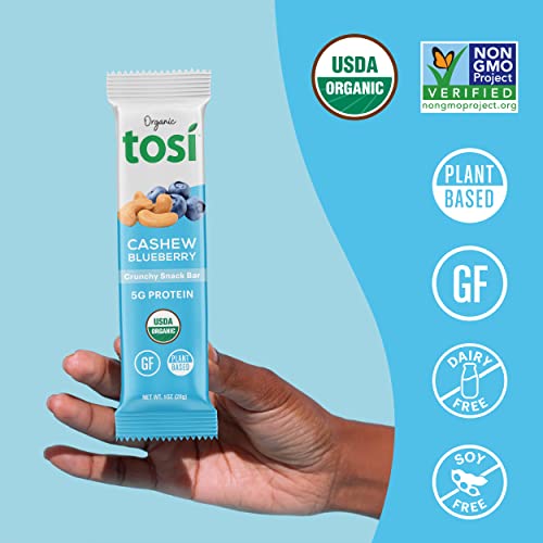 Tosi Nut Bars, 5G Protein (12 Pack, 1Oz Bars), Plant Based Protein Bars, Crunchy Vegan Snacks, Blueberry Cashew Bars, Low Sugar Healthy Snacks, Gluten Free, Soy Free, Fiber, Flax & Chia Seeds #TOP3