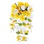 Yellow + White