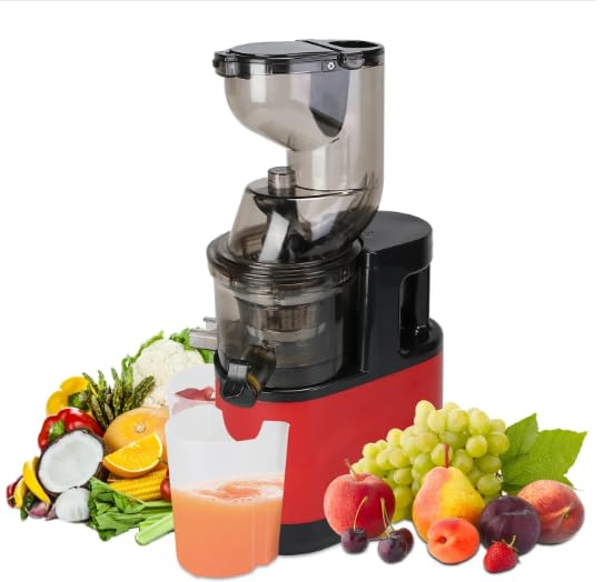 Cold Press Juicer Machine 300W Electric Slow Masticating for Whole Vegetable and Fruit with Reverse Function 2 Containers