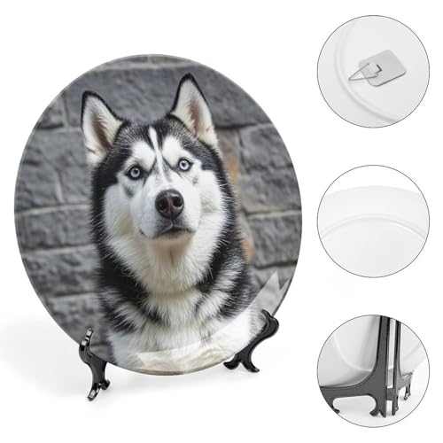 Plato decorativo Husky Dog estilo chino 7 pulgadas miniatura 4