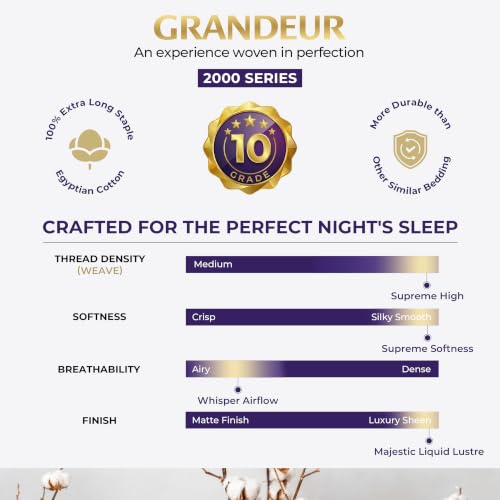 Image of THREAD SPREAD 100% Egyptian Cotton Pillow Cases Queen Size Set of 2 - Luxury 2000 Series Queen Pillow Cases (21 inch x 32 inch, Dark Grey), Soft Cooling Envelope Closure Hotel Like Egyptian Cotton Pillowcases