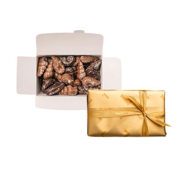 Chocolate Seashells, Belgian Milk & Dark Creamy Pralines in a Gift Box (1KG 56pc Approx)