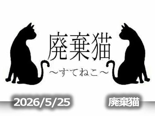 5月25日配信「廃棄猫～すてねこ～」