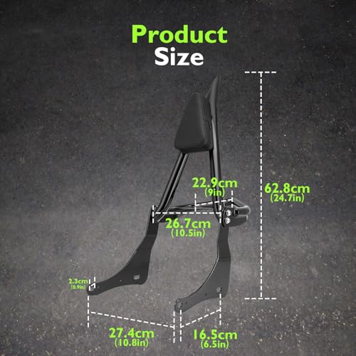 Mofun Sissy Bar with Detachable Rack
