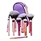 Kit Mini Pincéis de Maquiagem Premium 10 Peças Travel Size com Nécessaire – Cerdas Macias para Base, Blush, Pó, Sombras e Corretivo – Portátil e Multifuncional - (Rosa e Roxo)