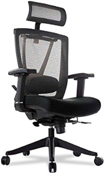 ergochair pro amazon