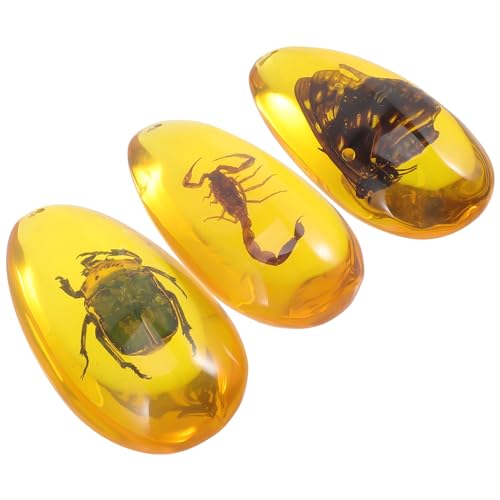 PartyKindom 3VR?{ߎqp W RTߋ j[N