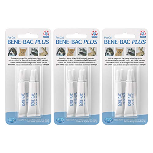 PetAg Bene-Bac Plus Pet Gel - FOS & Probiotics Gel Supplement with Naturally Occurring Microorganisms - 4 Count (15 g Syringes) - 3 Pack